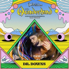 Dr. Downs @ Wonderland Festival 2023