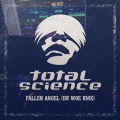Total Science - Fallen Angel (Dr Woe RMX)