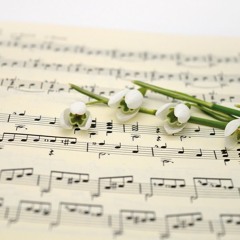 "Café Dimanche" 003 / Spring Coming 03.25
