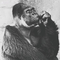 Mill - Hero [limbus company loop 2]