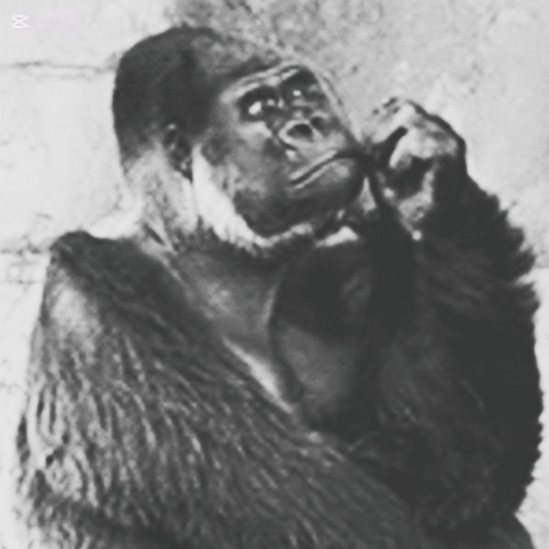 Mill - Hero [limbus company loop 2]