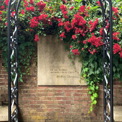 Honesty (pink sweat$ cover)