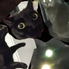 Bisschen Spaß bei Seite 😁🕺