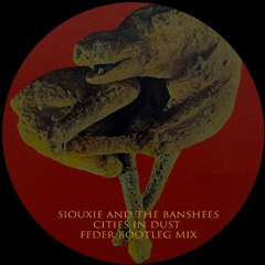 Siouxie and the banshees-Cities in Dust (FedeR BOOTLEG MIX)
