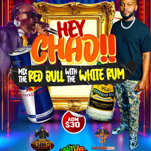 HEY CHAD! may 10th @ wave bar pt1