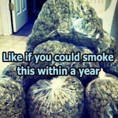 dreamland + leesta - colorado  (24GET)