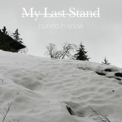 Buried In Snow