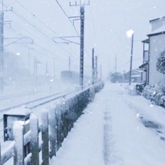 winter rails ୨୧ ˖˚⊹