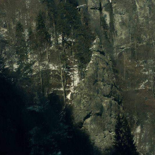 01 Rădăcini