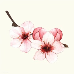 Hoa Vũ Lạc - Nhậm Nhiên 花雨落 - 任然