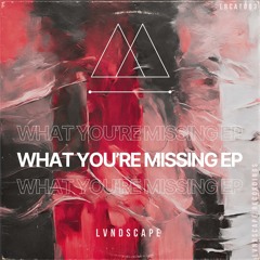 LVNDSCAPE - What You're Missing