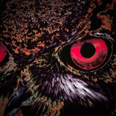 Eyes of the sage