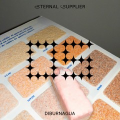 ESupplier 05 - Diburnagua