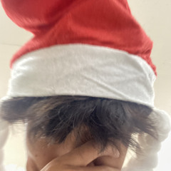 chrismas or kiss me - w/N4