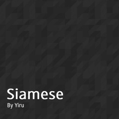 siamese @zai