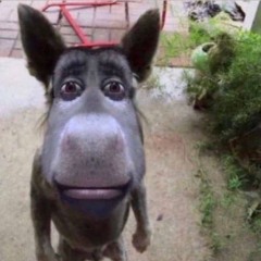 You Know (feat.yachi)