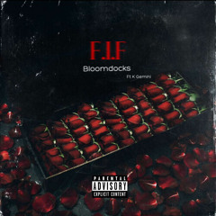 PROJ F.I.F (ft. K Gemini)