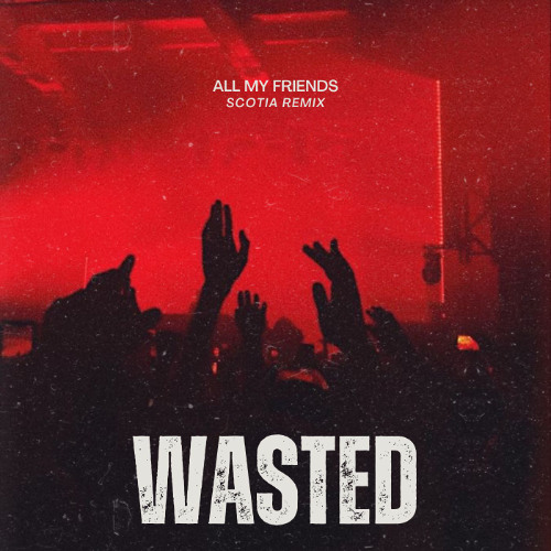 Wasted (Snakeships Flip)