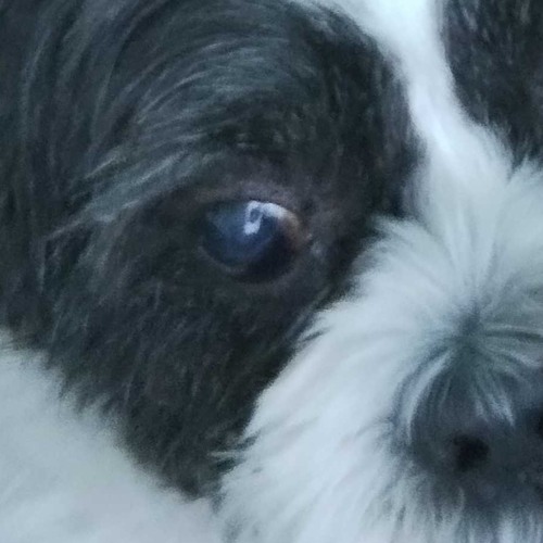 pessimisticmay #acidkittens โ ((soon to be NEET shout out floor bored ๐ซค๐ซค๐ซค