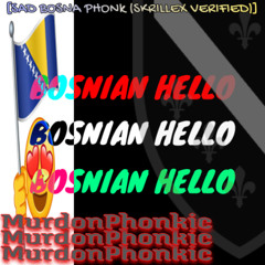 Bosnia Hello (ADELE HELLO REMIX) (BOSNIAN CUT)