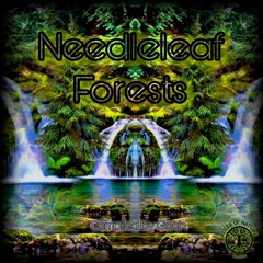 Catharsis (VA - Needleleaf Forests) Rules of Nature Records