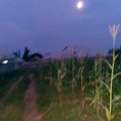 i said it(Prod by Fantom)