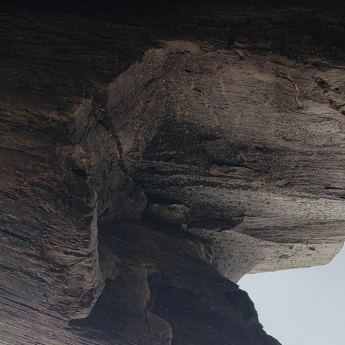 Stranger in the garden