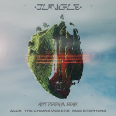 Alok, The Chainsmokers, Mae Stephens - Jungle (Matt Pridgyn Remix)