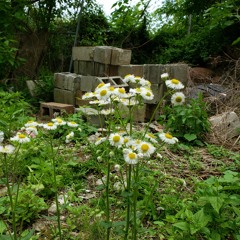 Heaven Bound (Prod. by Joe Fretz)