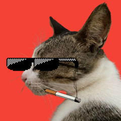 u weren’t here i really miss you (SIRIXIRIS remix)