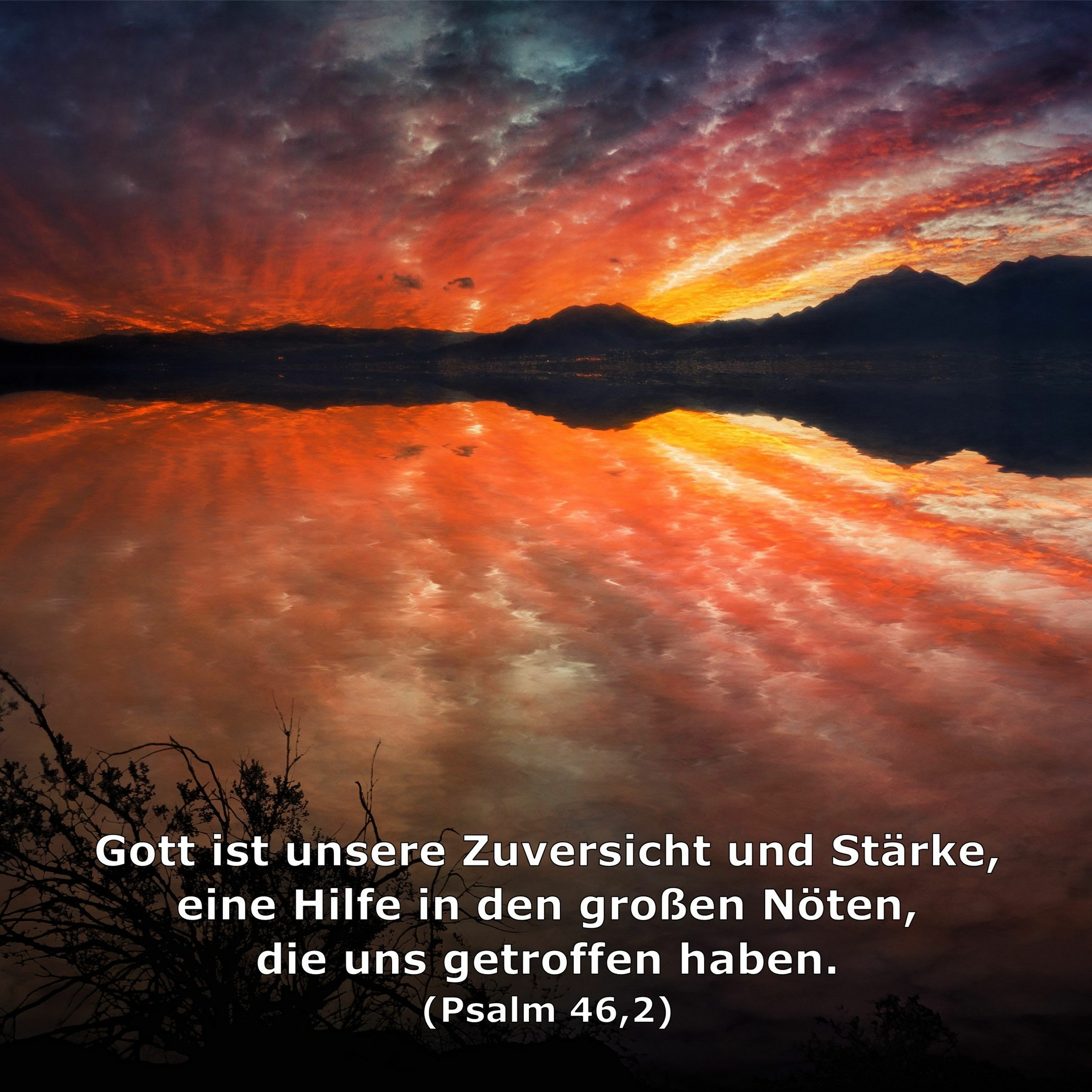 In einem Jahr durch die Bibel