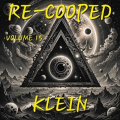 RE-COOPED VOLUME 15 - KLEIN