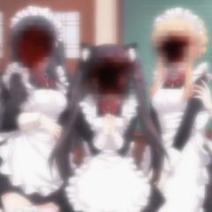 kitty :3 w point n xether