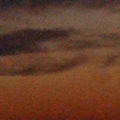 Так вот какая ты - Синяя птица