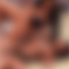 18 ]++ clip chặt đầu nguyễn xuân đạt và đao phủ nguyễn xuân đạt lạng sơn clip gốc