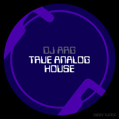 True Analog House 022