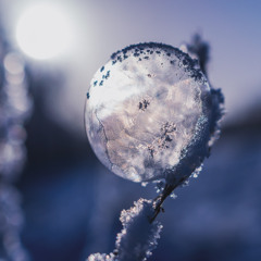 Dawn's Formation II (excerpt)