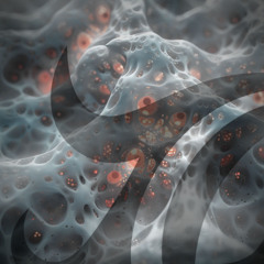 Cochlea ∞