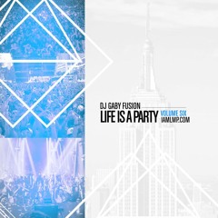 Life Is A Party Vol. 6 (2015)