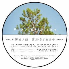 PREMIERE: "REINA'S THEME" - PRECIPITATION