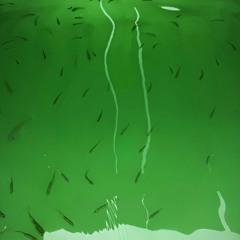 B a i t e d   L i n e s