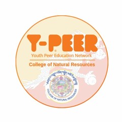Y-PEER: A Place for Edutainment