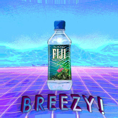 Fiji Water Bottle