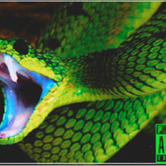 “serpente”/ feat. Malammore