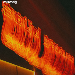 Grooveland Set 2 (Germany) 3-12-2025 - Dadhich B2B Pena