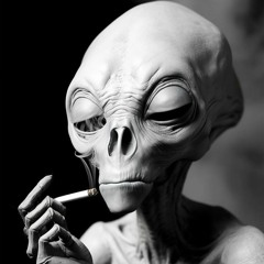 brand new spaceship +sumo! & gnome! (twon, ezzie)