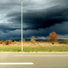 Wailing trees (out on Quadrants Records 02)