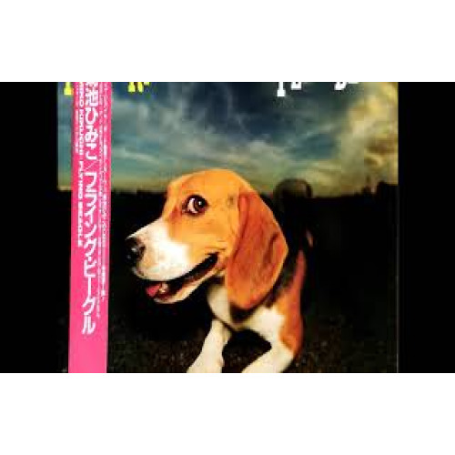 菊池ひみこ FLYING BEAGLE 帯付き 未開封LP 菊池ひみこ / Flying Beagle | TOHTO records & books a