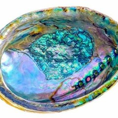 Abalone