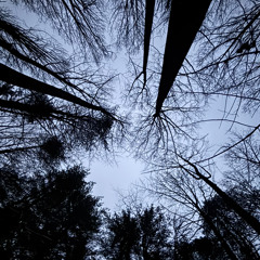 XVIII Winter Mix Volume 18